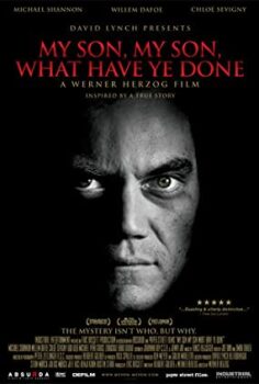 Benim Güzel Oğlum, Ne Yaptın Sen Türkçe Dublaj izle
