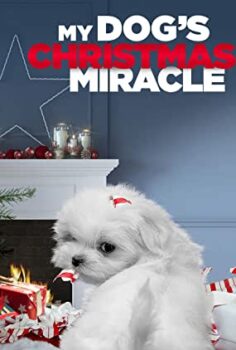 Köpeğimin Noel Mucizesi Filmi Türkçe Dublaj izle
