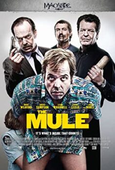 Kurye Filmi Türkçe Dublaj izle