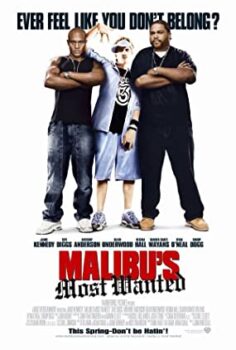 Aranan Kaçıklar Türkçe Dublaj izle