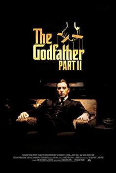 Baba 2 The Godfather: Part II Türkçe Dublaj izle