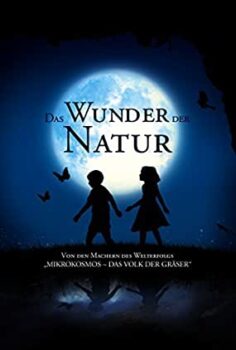 Büyülü Krallık Türkçe Dublaj izle