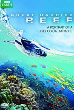 Doğanın Mucizesi: Resif ve Ötesi Great Barrier Reef Türkçe Belgesel İzle