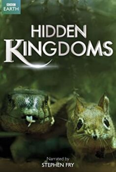Gizli Krallık 1. Bölüm Hidden Kingdom Türkçe Dublaj izle