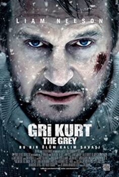 Gri Kurt Türkçe Dublaj izle