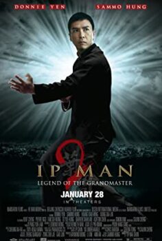 İp Man 2 Türkçe Dublaj izle