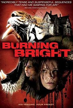 Kaplan Kapanı Türkçe Dublaj izle
