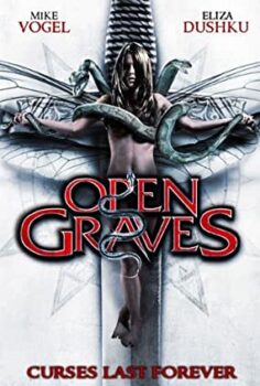 Lanetli Oyun Türkçe Dublaj izle