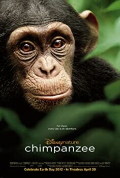 Şempanze Türkçe Dublaj izle