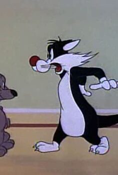 Sylvester ve Hop Hop Sylvester Hippety Hopper Türkçe Dublaj İzle