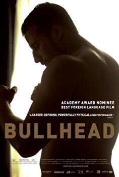 Taş Kafa Türkçe Dublaj izle