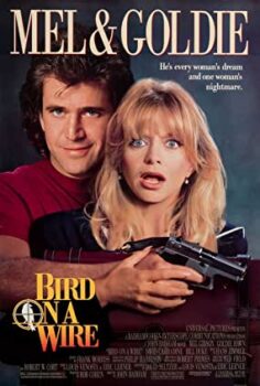 Teldeki Kuş Türkçe Dublaj izle