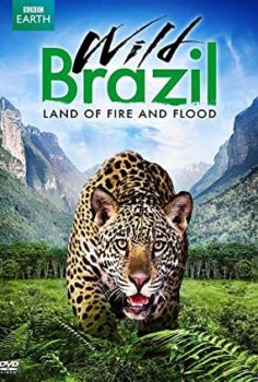 Vahşi Brezilya Tehlikeli Dünya Wild Brazil Türkçe Dublaj izle
