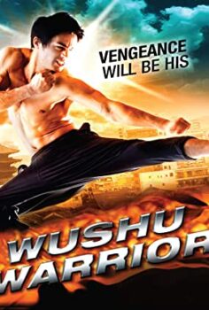 Wushu Savaşçısı Türkçe Dublaj izle