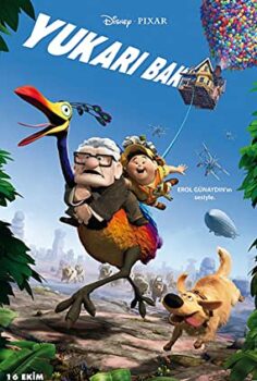 Yukarı Bak Türkçe Dublaj izle