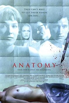 Anatomie