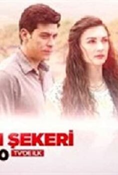Badem Şekeri 2 izle (2017)