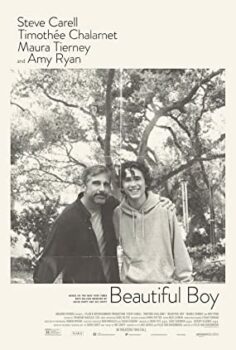 Beautiful Boy film izle (2018)