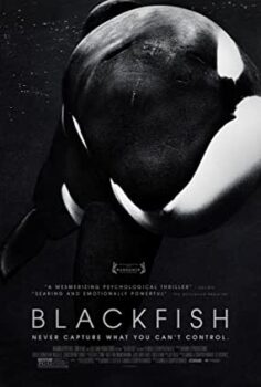 Kara Balık – Blackfish Türkçe Dublaj izle