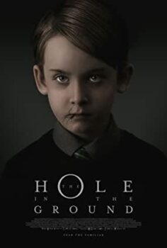 Kuyu | The Hole in the Ground izle (2019)