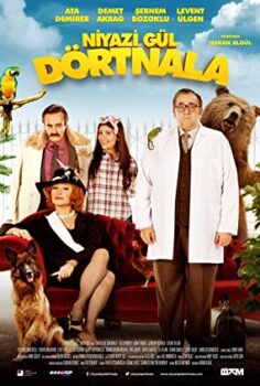 Niyazi Gül Dörtnala izle Full HD 720p Tek Part