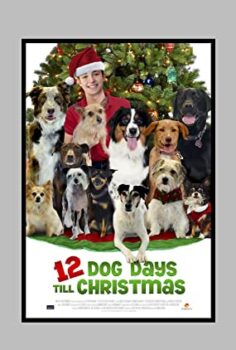 Noelin 12 Köpeği izle