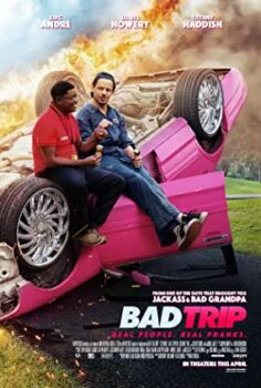 Şaka Peşinde – Bad Trip izle (2020)