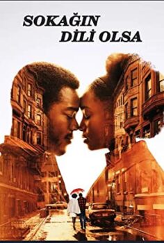 Sokağın Dili Olsa izle (2018)